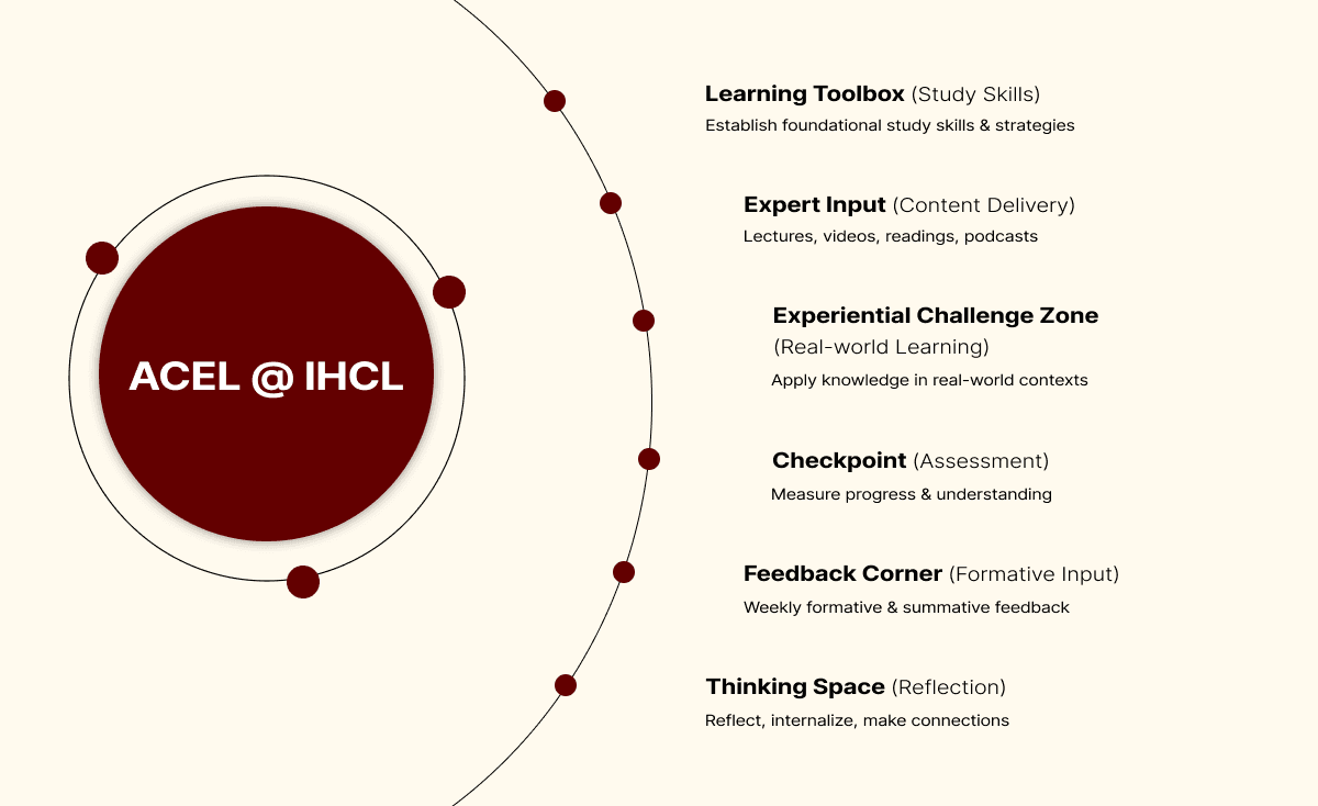 Rethinking Higher Education: How ACEL Is Breaking Down Barriers to Learning